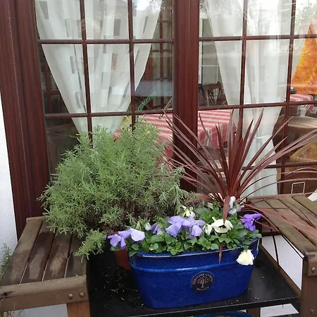 The Laurels Bed And Breakfast-2